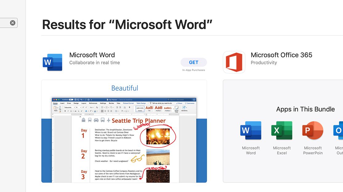 microsoft word not working on mac after update 2019